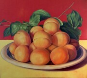 A Plate of Apricots       48x54      $C4.000