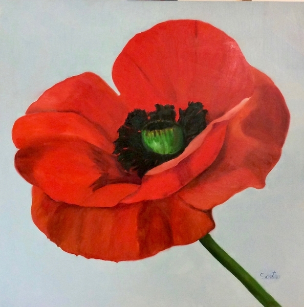 "Big Red Poppy"  36x36  $2.600