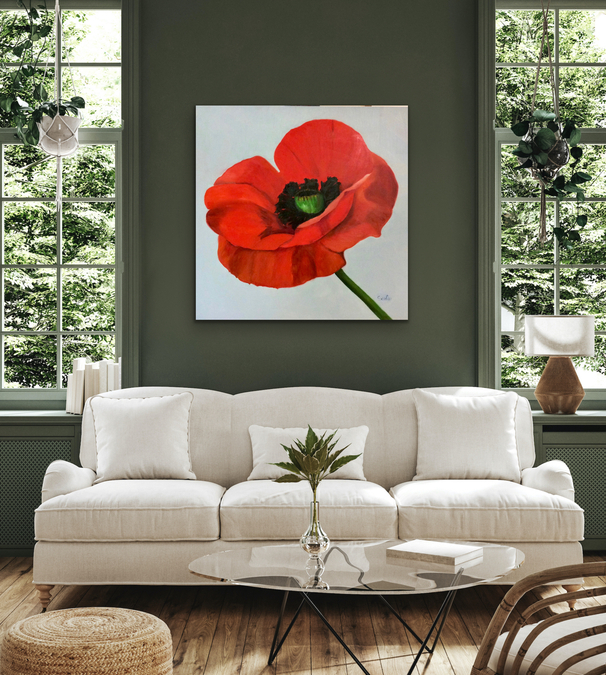 Big Red Poppy In Situ