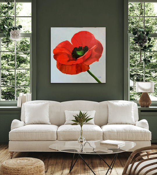 Big Red Poppy In Situ