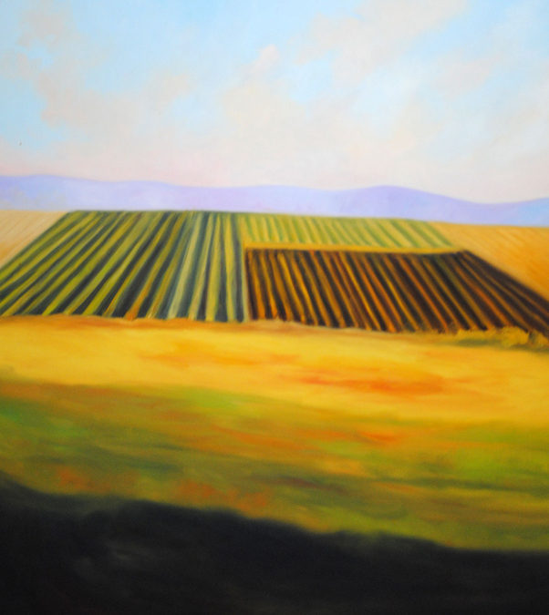 "Fallow Fields"   44x50      C$3.400