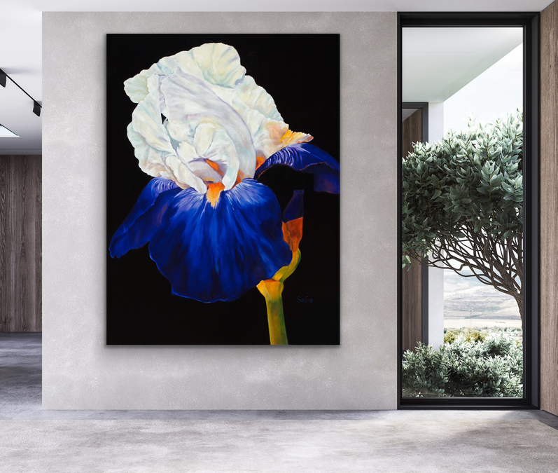 Iris, Queen of flowers In Situ