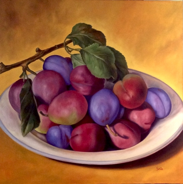 Italian Plums   48x48