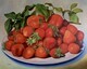 Strawberry Fair   48x60